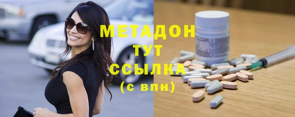 хмурый Аркадак