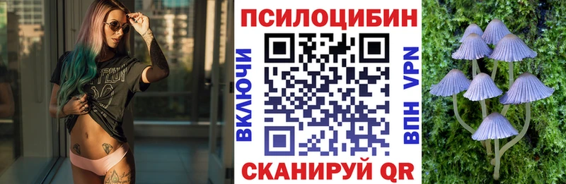 Псилоцибиновые грибы прущие грибы  omg ТОР  Ясный  хочу наркоту 